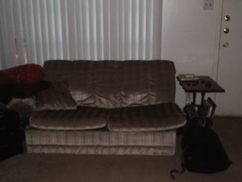The apartment sized sofa and endtable